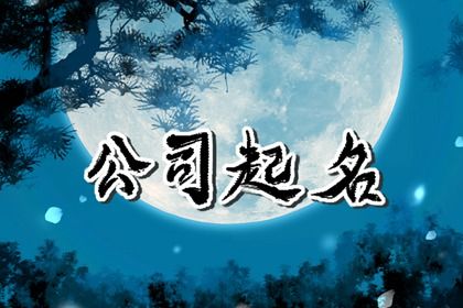 生肖鼠公司取什么名字好,招财的公司名