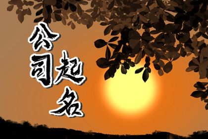 生肖属龙吉祥公司名字大全 有气势的企业名称