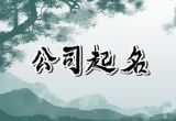 带水的公司名字大全集 吉利兴旺的企业取名