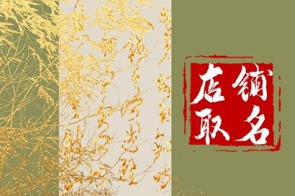 淘宝美妆店铺 响亮大气的名字