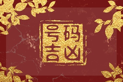 号码吉凶6