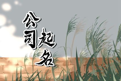 属猴人公司吉名,公司起名技巧