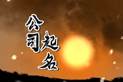 有创意的艺术公司名称 最新公司名字