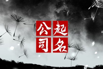 属猪人公司取名大全,气势恢宏的企业名称