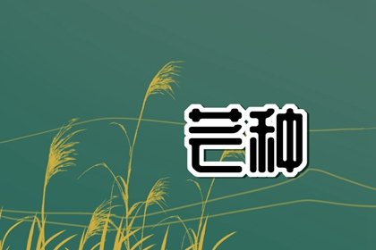 芒种不种,再种无用什么意思 收麦子在芒种