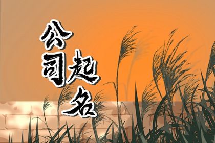 新公司注册二个字起名 有助于公司的长期发展的名字