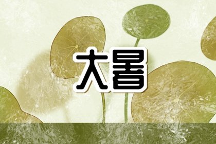 大暑池畔赏红莲,亭亭玉立水中天是什么意思