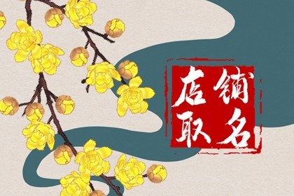 有意境的店铺名字女装店 诗情画意店名吉利