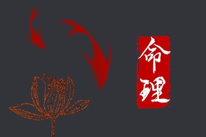 怎么看自己日柱 日柱查询分类