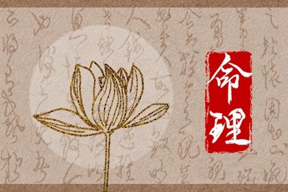 食神生财的巨富八字解读  八字食神多好不好