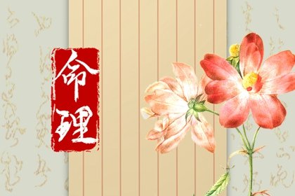 食神伤官代表什么意思  食神命格具体解读