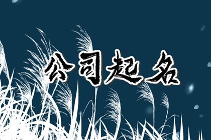 有创意的照明公司名字 通俗易懂的企业名称