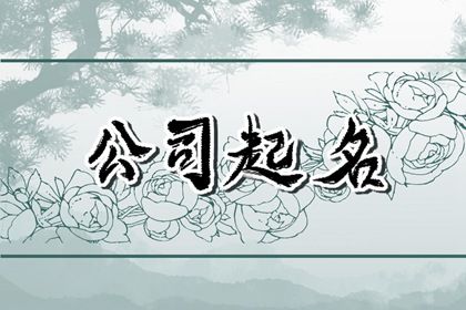 四字公司名字大全集免费,独特又有创意的企业起名