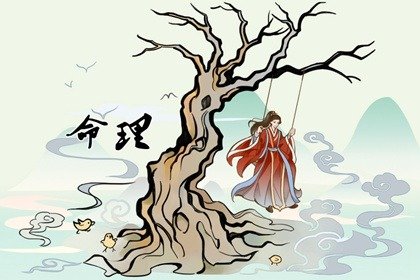 四两五钱女命惨不惨 内心善良易受摧残