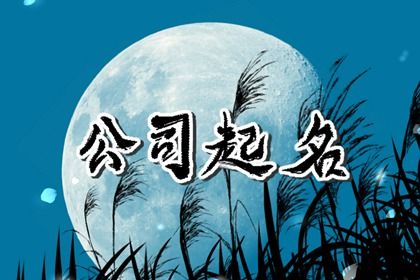 有创意的回收公司名称  独特好听的企业名字