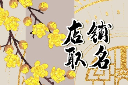 电商店铺名字女装 有前途又易记店名建议