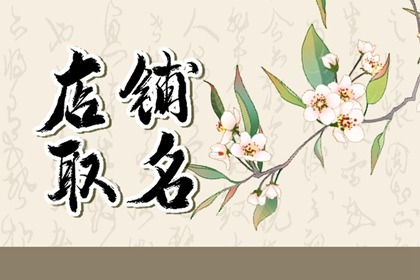 pdd卖女装店铺名字该怎么取 有魅力又牢记的店名建议