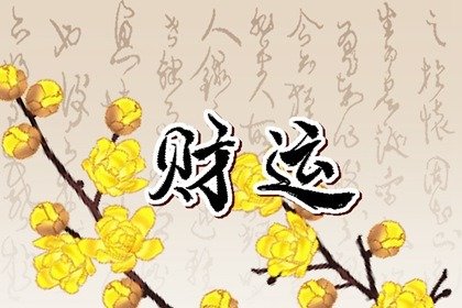 春节必买的10种花 过年买发财树招财进宝