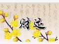 春节必买的10种花 过年买发财树招财进宝