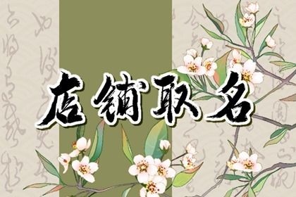 卖包包的店取什么名字 女宝店铺起名