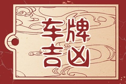 车牌选了个220好吗 220寓意解读