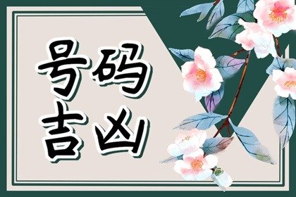 女人不宜的手机号码 女士手机尾号91好不好