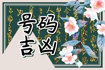 手机号最旺财的尾数81 手机号与81数理变化