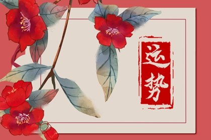 唐立淇 每日12星座运势12.23-12.24