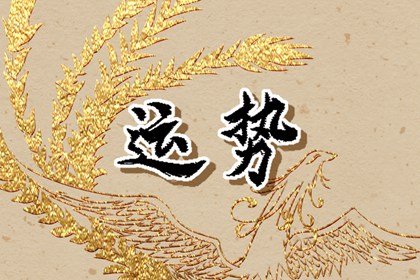 属鸡人2024年全年运势详解，龙年运程展望