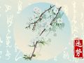 Alex 摩羯座本周运势详解2024.7.15—7.21