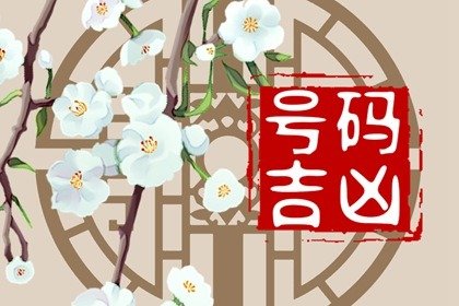 豹子手机号哪个数字最好 适合女孩的手机尾数5