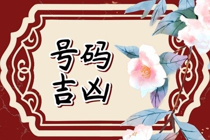 77年蛇女车牌号码的幸运数字 吉祥旺运的车牌数字寓意