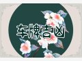 生肖蛇车牌号怎么选 最聚财吉祥的车牌数字