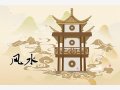 家里养龙须树到底好不好