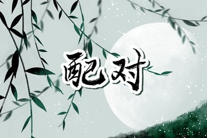 为什么龙和虎不能一家 龙虎注意事项