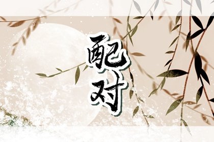 88龙和94狗的结婚好吗 88龙94狗结婚苦难重重