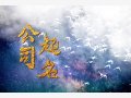 寓意好的广告公司名字推荐 朗朗上口的广告公司名字