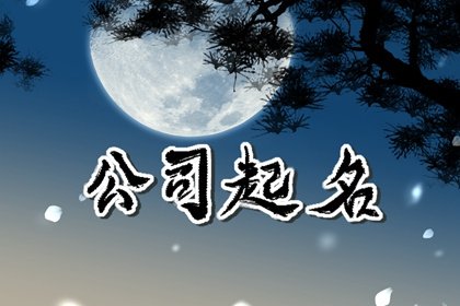 最新互联网公司起名大全 有创意的网络公司名字