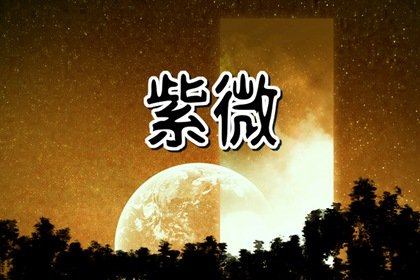 文曲星入命是什么意思 紫微斗数文曲入命宫详解