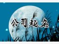 个性高档的皮具公司名字 有创意的皮具店名