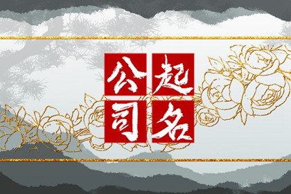 财务公司名字好听易记 简约顺口财务公司名字