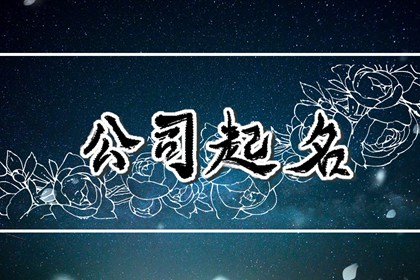 高端大气的网络公司名称 独特好听的网络公司名字
