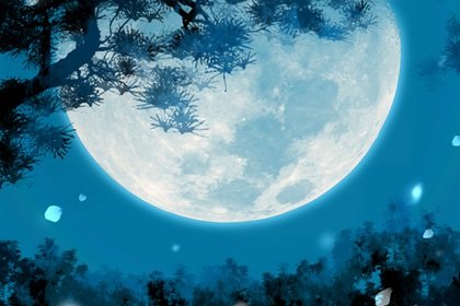 环保公司名字好听独特 简单大气的环保公司名称