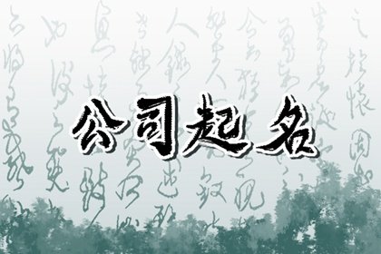 箱包公司名字时尚大气 有内涵大气的箱包公司名字