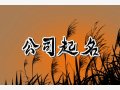 好听聚财的室内设计公司名字 霸气时尚的室内设计公司取名