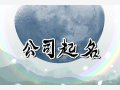 时尚有创意的设计公司名字 充满艺术感设计公司名字