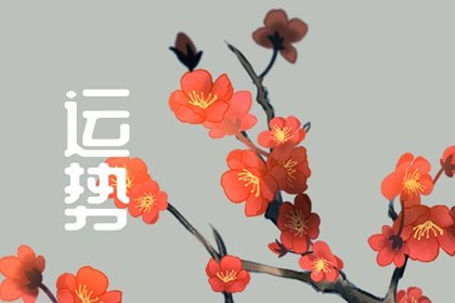 郑博士 十二生肖周运详解2024.8.5-8.11