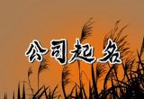 公司名字三个字 3字独一无二公司名