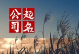 发大财公司名字 招财公司起名