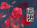 狂月天时 每日12星座运势2024.8.29